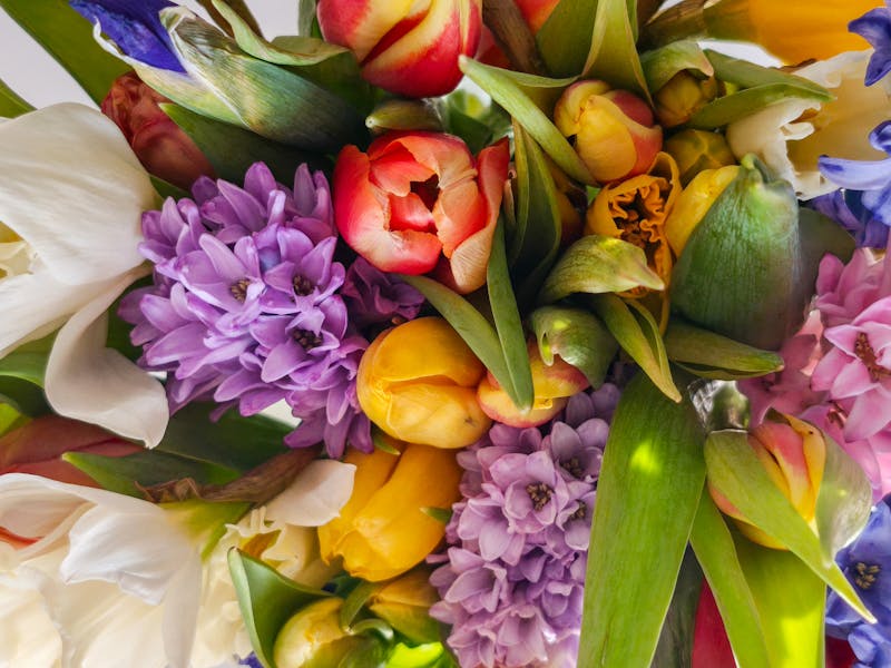 Pastel spring bouquet of tulips and hyacinths