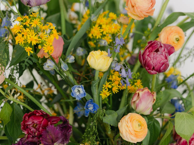 Vibrant mixed bouquet of tulips, roses and wildflowers